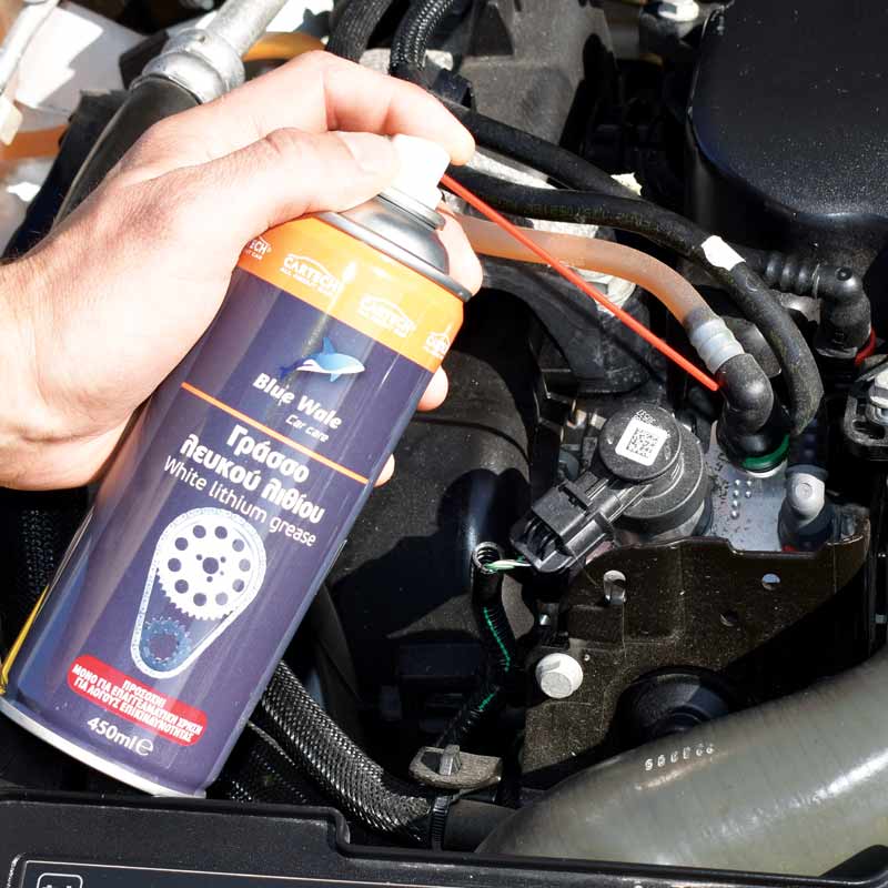 ΓΡΑΣΣΟ ΣΠΡΕΥ ΛΕΥΚΟΥ ΛΙΘΙΟΥ 450ml BLUE WHALE - Image 2